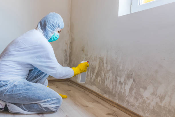 Mold Remediation specialist working in Franklin